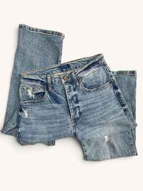Oliver Logan Mulberry Straight Leg High Rise Distressed Jeans Size 29